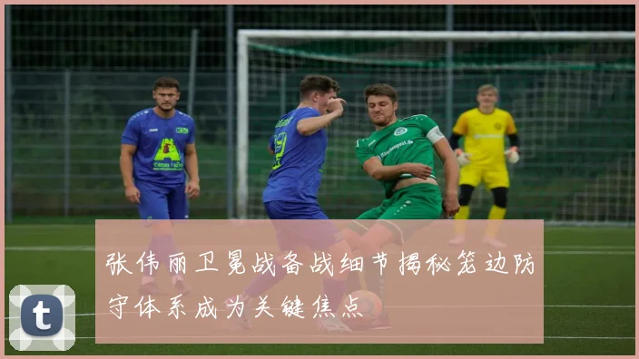 张伟丽卫冕战备战细节揭秘笼边防守体系成为关键焦点